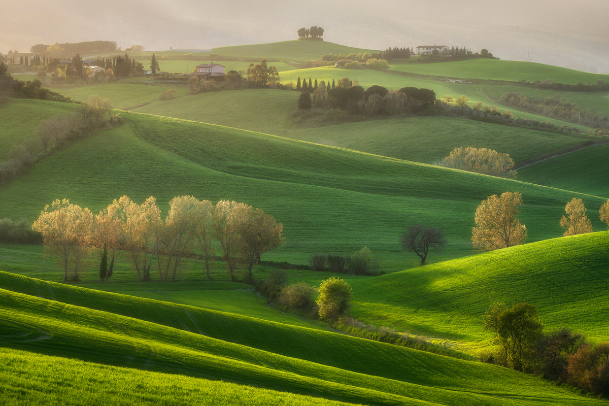 Rolling green hills with scattered trees and sunlight casting long shadows. A few houses and distant trees are visible on the horizon under a hazy sky, creating a peaceful, rural landscape.