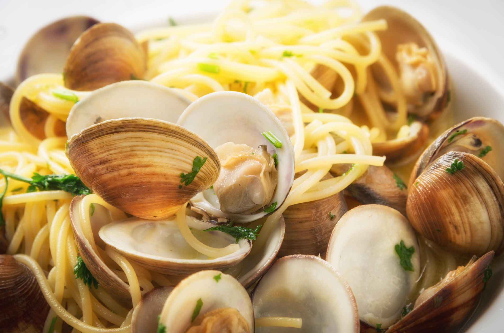 Close-up of spaghetti with clams in their shells, garnished with chopped parsley, on a white plate.