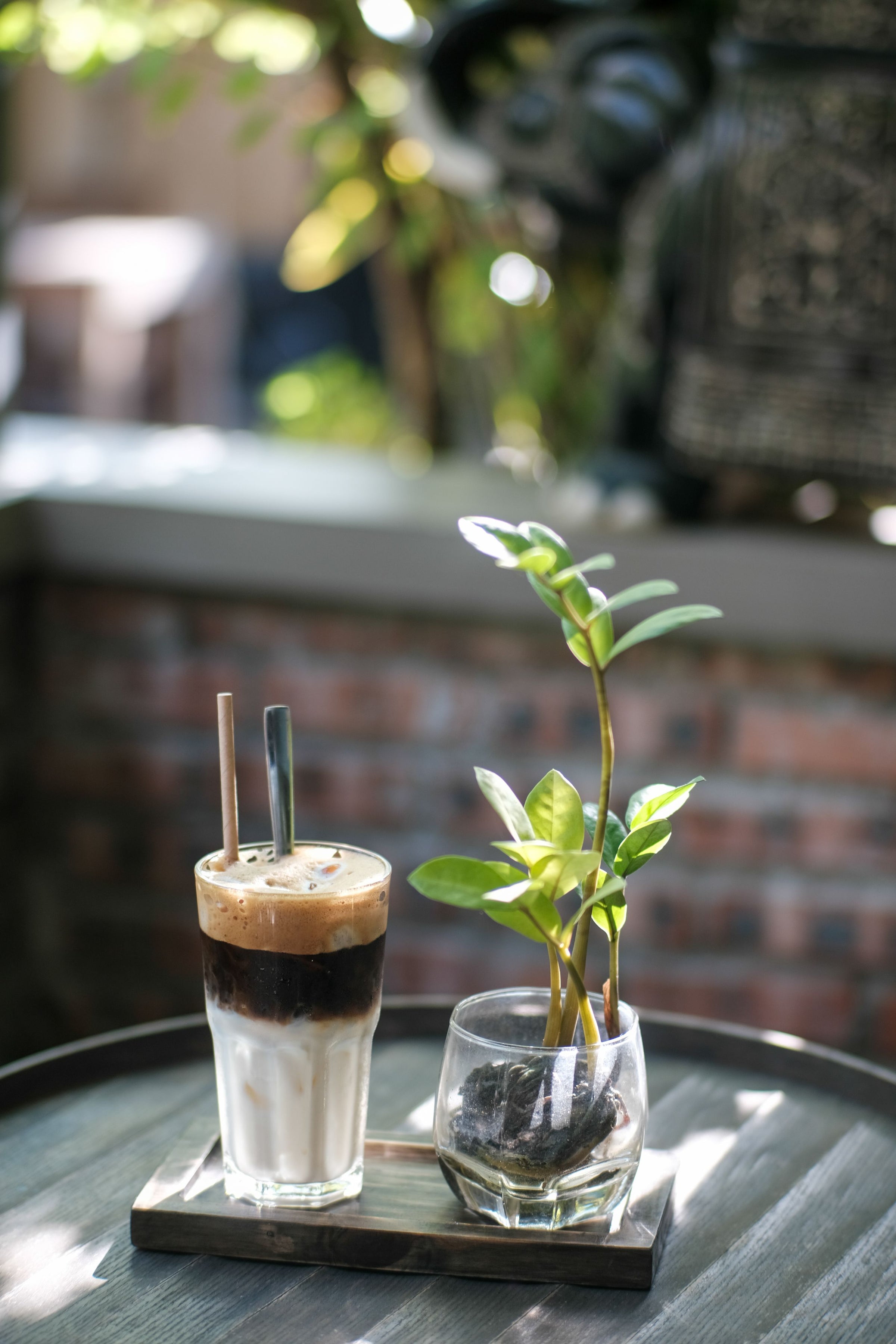 A glass of iced layered coffee with two straws sits next to a small potted plant on a wooden tray, placed on a round table outdoors with a blurred green background.